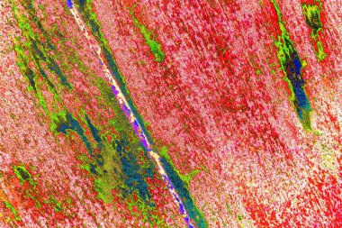 Duvar kağıdı için soyut renkli doku arkaplanı. Yaratıcı ve tasarım sanatı, eski duvar dokusu.