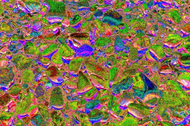 Doğada kayalık yol