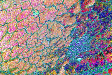 Soyut arkaplan tam çerçeve modern kalıp 