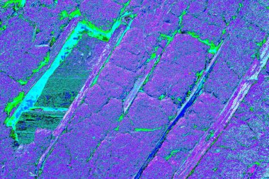 Yaratıcı ve tasarım sanatı, eski duvar dokusu. Duvar kağıdı için soyut renkli doku arkaplanı. 