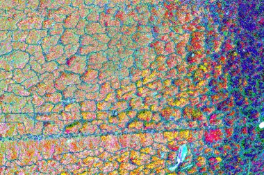 Soyut arkaplan tam çerçeve modern kalıp 