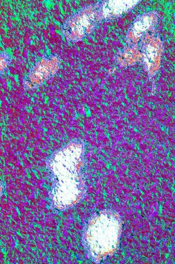 Arkaplan olarak kullanmak için duvarın resmi.