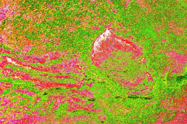 yaratıcı ve tasarım sanatı, kopyalama alanı duvar kağıdı, soyut renkli doku arkaplanı  