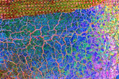 yaratıcı ve tasarım sanatı, kopyalama alanı duvar kağıdı, soyut renkli doku arkaplanı  