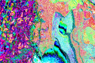 Duvar kağıdı için suluboya arka planının soyut renkli dokusu. Yaratıcı ve tasarım sanatı.