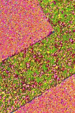 Arkaplan olarak kullanılmak üzere sıvanmış duvarın resmi