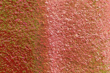 Duvar kağıdı için suluboya arka planının soyut renkli dokusu. Yaratıcı ve tasarım sanatı.