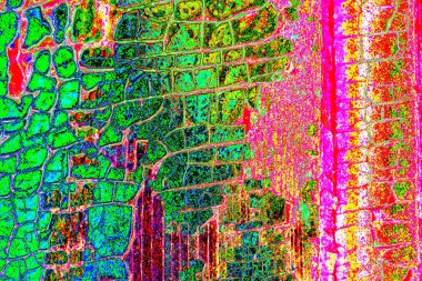 yaratıcı ve tasarım sanatı, kopyalama alanı duvar kağıdı, soyut renkli doku arkaplanı