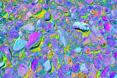 Doğada kayalık yol