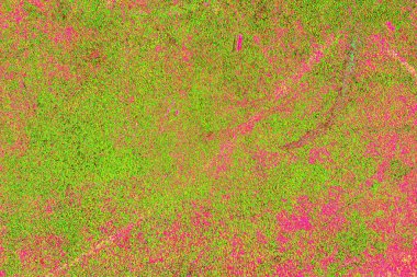 yaratıcı ve tasarım sanatı, kopyalama alanı duvar kağıdı, soyut renkli doku arkaplanı  