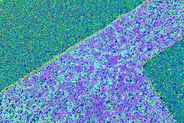 Arkaplan olarak kullanılmak üzere sıvanmış duvarın resmi