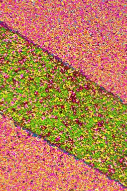 Arkaplan olarak kullanılmak üzere sıvanmış duvarın resmi