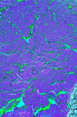 Yaratıcı ve tasarım sanatı, eski duvar dokusu. Duvar kağıdı için soyut renkli doku arkaplanı. 