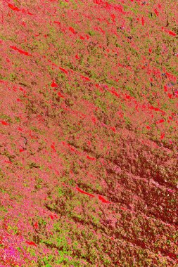 Çizik ve çatlaklarla metal doku