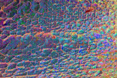 yaratıcı ve tasarım sanatı, kopyalama alanı duvar kağıdı, soyut renkli doku arkaplanı  