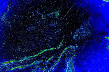 Duvar kağıdı için suluboya arka planının soyut renkli dokusu. Yaratıcı ve tasarım sanatı.