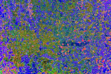 Duvar kağıdı için suluboya arka planının soyut renkli dokusu. Yaratıcı ve tasarım sanatı.