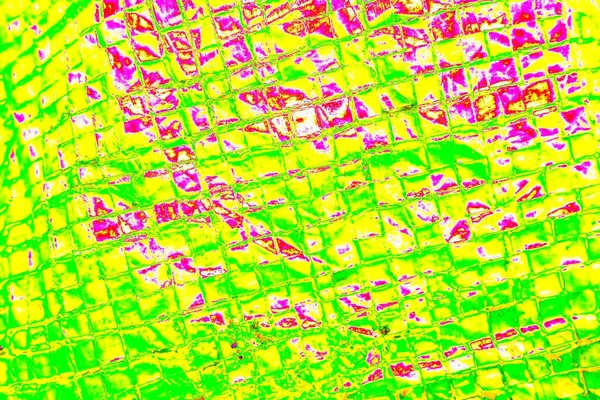 Soyut arkaplan tam çerçeve modern kalıp 