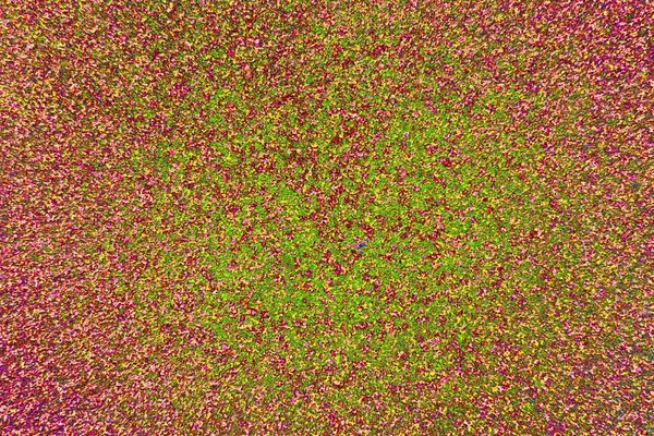 Arkaplan olarak kullanılmak üzere sıvanmış duvarın resmi