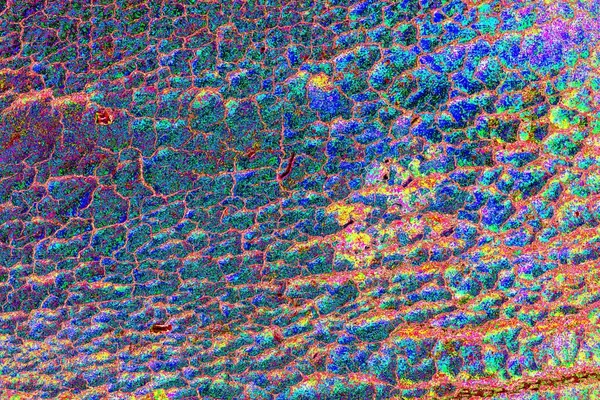 yaratıcı ve tasarım sanatı, kopyalama alanı duvar kağıdı, soyut renkli doku arkaplanı  