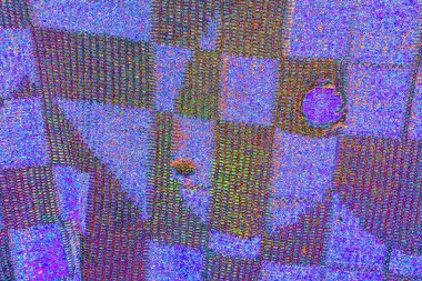 Soyut arkaplan tam çerçeve modern kalıp 