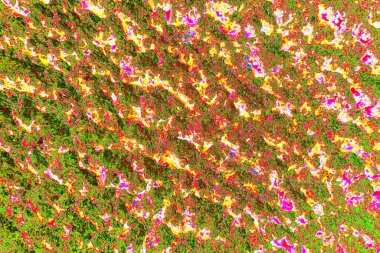 Arkaplan olarak kullanmak için duvarın resmi.