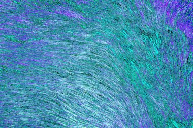 Yaban domuzu kürkü, vahşi hayvan, yaklaşın.