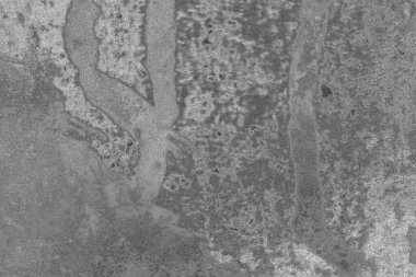 Soyut arkaplan renkli modern desen 