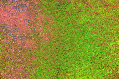 yaratıcı ve tasarım sanatı, kopyalama alanı duvar kağıdı, soyut renkli doku arkaplanı  