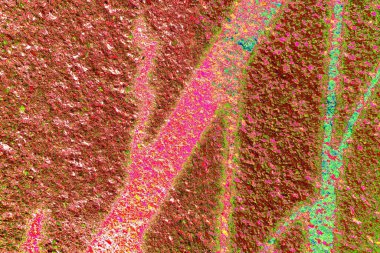 Duvar kağıdı için suluboya arka planının soyut renkli dokusu. Yaratıcı ve tasarım sanatı.