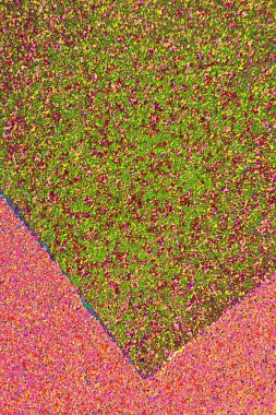 Arkaplan olarak kullanılmak üzere sıvanmış duvarın resmi