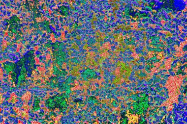 Duvar kağıdı için suluboya arka planının soyut renkli dokusu. Yaratıcı ve tasarım sanatı.