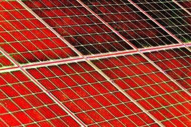 Soyut arkaplan tam çerçeve modern kalıp 