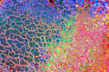 yaratıcı ve tasarım sanatı, kopyalama alanı duvar kağıdı, soyut renkli doku arkaplanı  