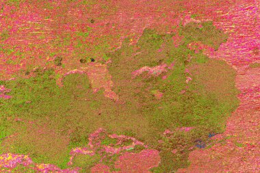 yaratıcı ve tasarım sanatı, kopyalama alanı duvar kağıdı, soyut renkli doku arkaplanı  