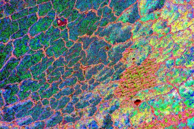 yaratıcı ve tasarım sanatı, kopyalama alanı duvar kağıdı, soyut renkli doku arkaplanı  