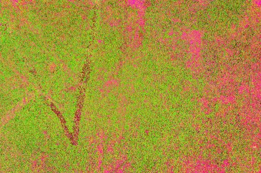 yaratıcı ve tasarım sanatı, kopyalama alanı duvar kağıdı, soyut renkli doku arkaplanı  