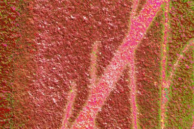 Duvar kağıdı için suluboya arka planının soyut renkli dokusu. Yaratıcı ve tasarım sanatı.