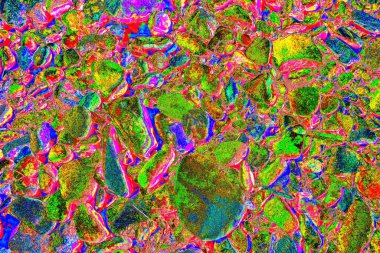 Doğada kayalık yol