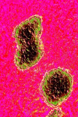 Arkaplan olarak kullanmak için duvarın resmi.