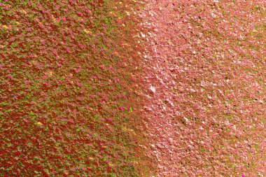 Duvar kağıdı için suluboya arka planının soyut renkli dokusu. Yaratıcı ve tasarım sanatı.