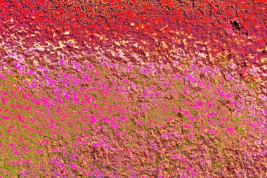 Duvar kağıdı için suluboya arka planının soyut renkli dokusu. Yaratıcı ve tasarım sanatı.