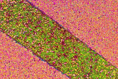 Arkaplan olarak kullanılmak üzere sıvanmış duvarın resmi