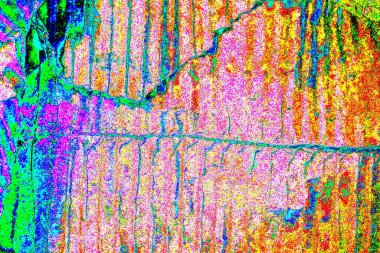 yaratıcı ve tasarım sanatı, kopyalama alanı duvar kağıdı, soyut renkli doku arkaplanı