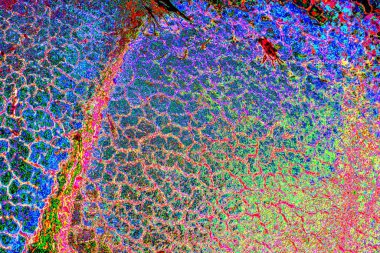 yaratıcı ve tasarım sanatı, kopyalama alanı duvar kağıdı, soyut renkli doku arkaplanı  