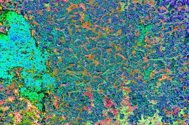 Duvar kağıdı için suluboya arka planının soyut renkli dokusu. Yaratıcı ve tasarım sanatı.