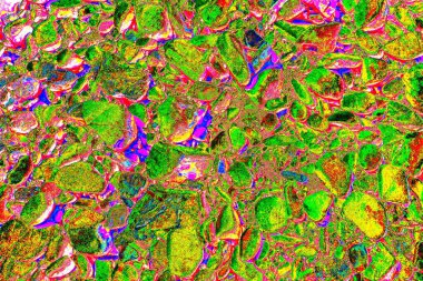 Doğada kayalık yol