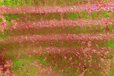 Çizik ve çatlaklarla metal doku