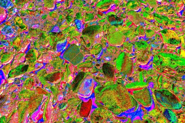 Doğada kayalık yol