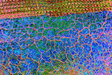 yaratıcı ve tasarım sanatı, kopyalama alanı duvar kağıdı, soyut renkli doku arkaplanı  